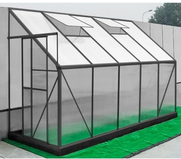 Växthus för vägg poly svart 132x313x227cm